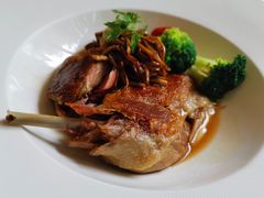 -蝶舍·MAISON PAPILLON