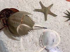 -福州罗源湾海洋世界旅游区
