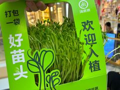 -海底捞火锅(青山湖万达夜宵主题店)