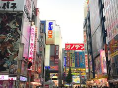 -秋叶原电器街
