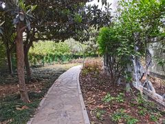 -郑州植物园