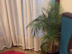 -子霖南山鲜虾面(南山总店)