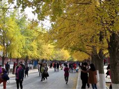 -辽宁大学(崇山校区)