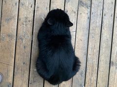 -新疆狼爷烤肉(宋庄店)