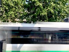 -武汉关码头(轮渡站)