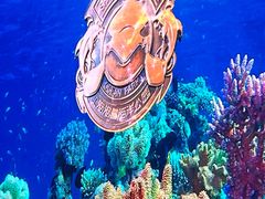-上海海昌海洋公园