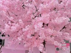 -百佳华佳漾里(坂田店)