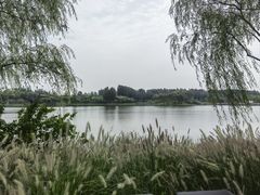 -东郊湿地公园
