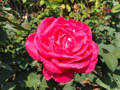 -人民公园(罗湖区)