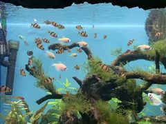 -多彩贵州城极地海洋世界