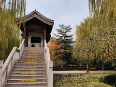 -团结湖公园