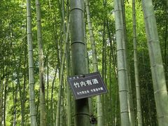 -陶祖圣境风景区