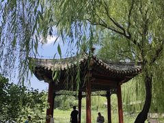 -北坞公园