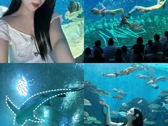 -合肥海洋世界