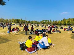 -上海长兴岛郊野公园