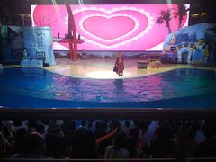 景点-三亚海昌梦幻海洋不夜城