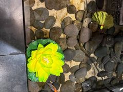-羲和雅苑•北京烤鸭(陆家嘴中心店)