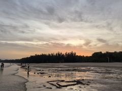 -三亚海棠湾万丽度假酒店