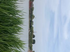 -盛世南宫影视城(北普陀影视城)