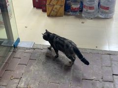 -老仓醋米线(万达店)