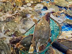 -驻海渔市(置信店)