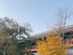 -潭柘寺景区