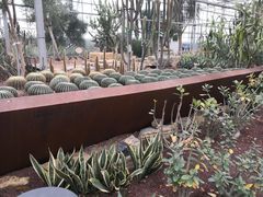 -龙达温泉生态城