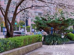 -玛格萝妮比萨屋(四平店)