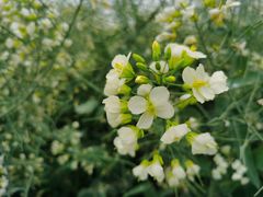 -中国天府农业博览园