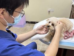 -美联众合动物医院·24h转诊中心