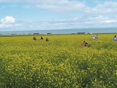 -青海湖国家重点风景名胜区