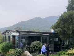 -蘇河湾·新鲁菜·泰山宴(泰山店)