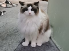 -零纪元VR体验馆·桌游(黄浦店)