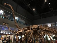 -自贡恐龙博物馆