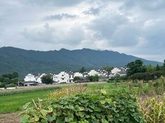 -黄牛肉馆·皖南土菜