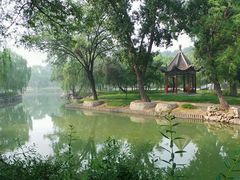 -达活泉公园