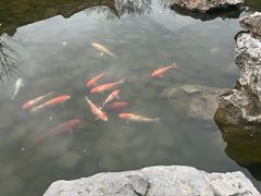 -祝家花園(伯渎港店)