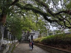 -溪口-滕头旅游景区