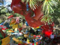 -康定跑马山风景区