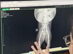 -爱妮康宠物医院·干细胞免疫细胞·肿瘤·心脏(张江店)