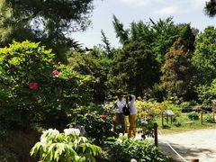 -国家植物园南园