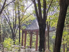 -云岗森林公园
