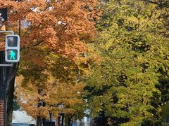 -北海道厅旧本厅舍(旧本庁舎)