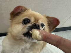 -狗道宠物(常熟印象城店)
