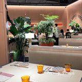 太食兽 我又双叒叕来了