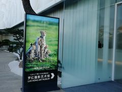 -罗红摄影艺术馆