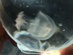 -福州罗源湾海洋世界旅游区