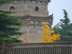 -法门文化景区