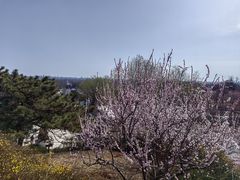 -北京西山国家森林公园