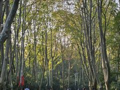 -WeLope紫金山探险公园